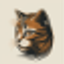 Tabby